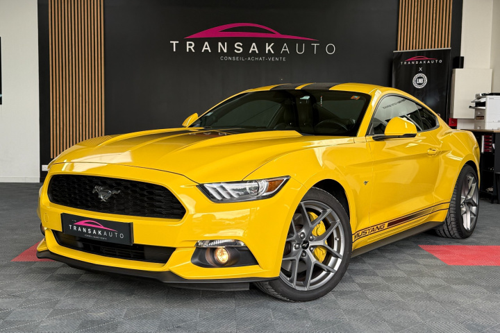 FORD MUSTANG FASTBACK